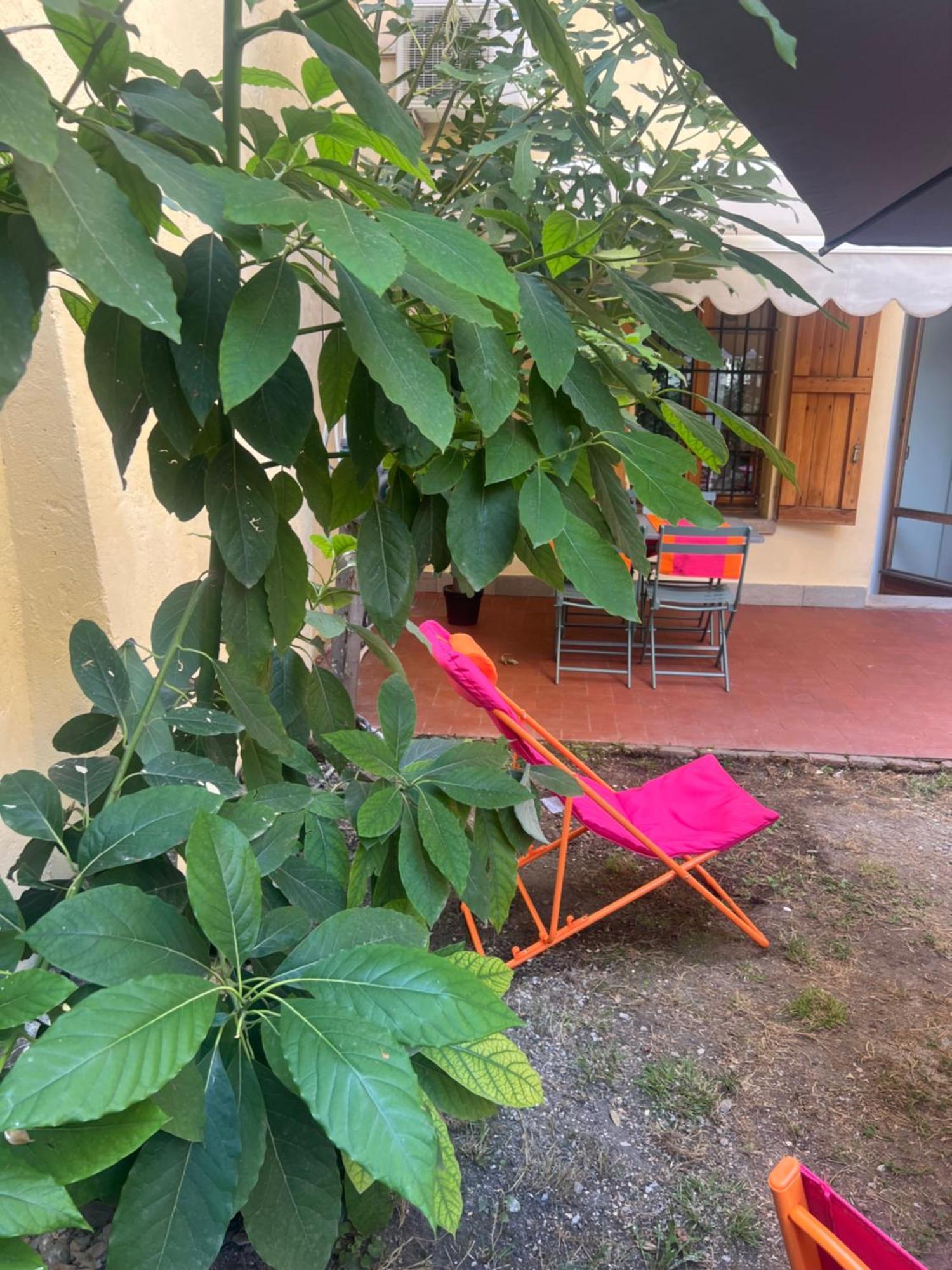 Teagarden Centro Storico Bologna Lägenhet Exteriör bild